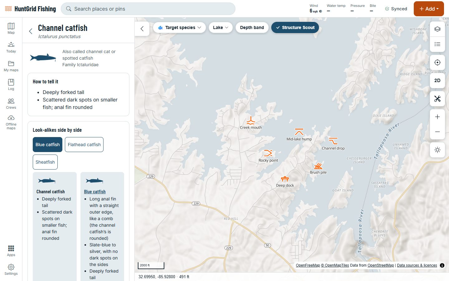 HuntGrid Fishing on a computer: the channel catfish page of the species guide, with its marks and its look-alikes.