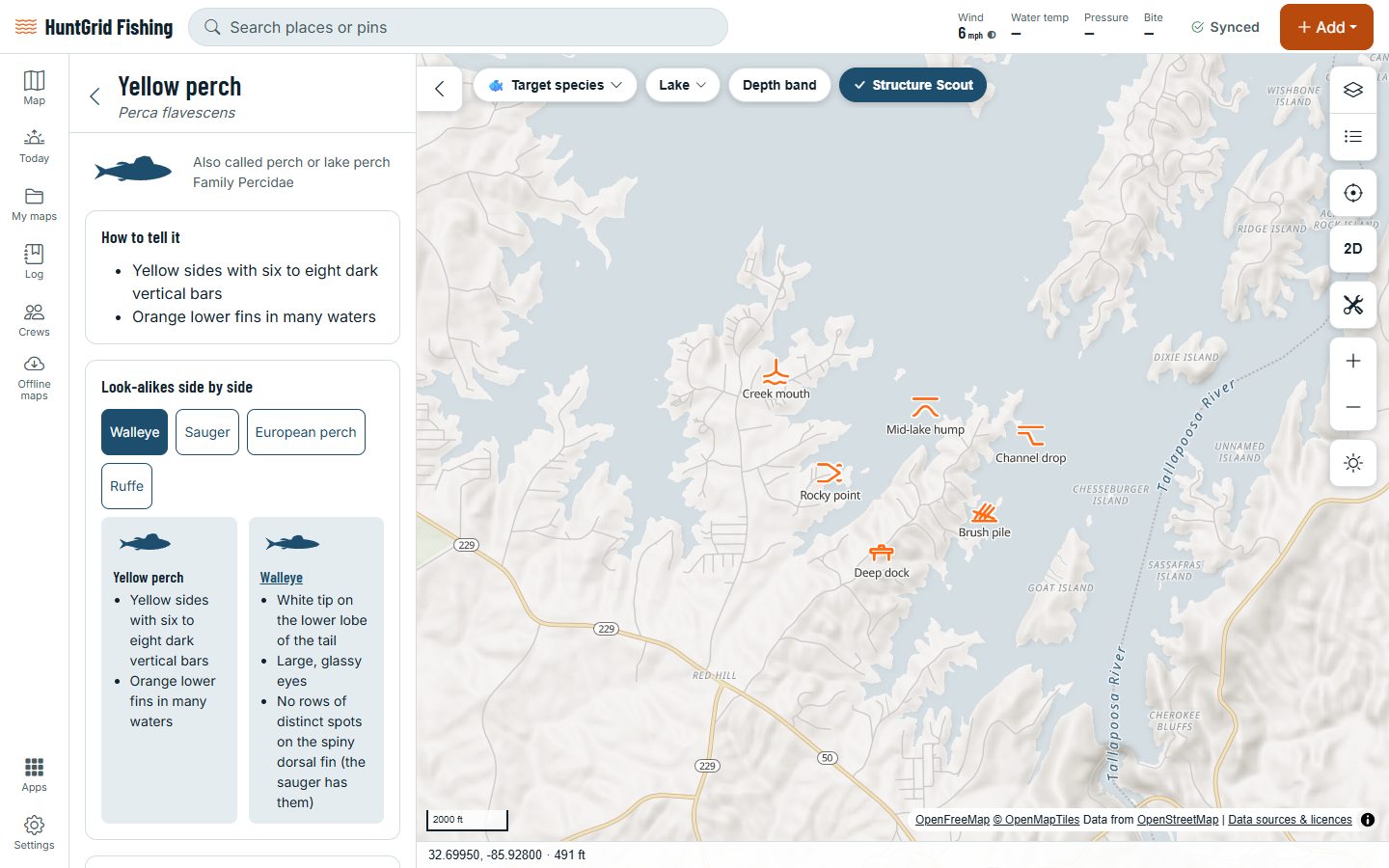 HuntGrid Fishing on a computer: the yellow perch page of the species guide, with its marks and its look-alikes.