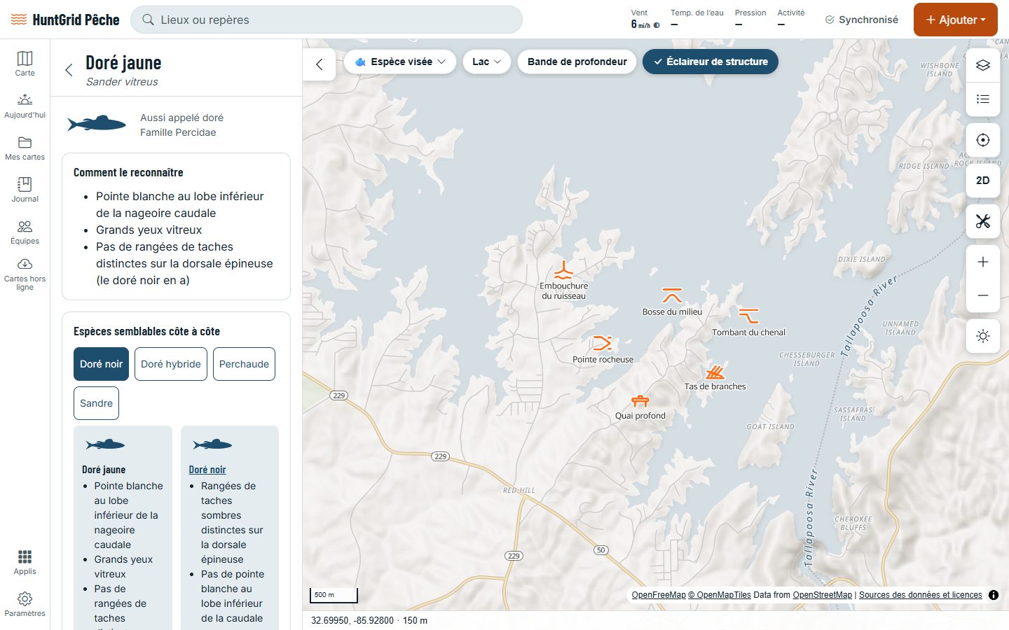 HuntGrid Pêche sur un ordinateur : la page du doré jaune dans le guide des espèces, avec ses marques et les espèces semblables.