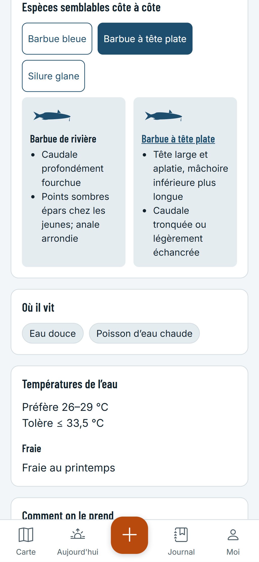 Le guide des espèces sur un téléphone : une barbue de rivière et une barbue à tête plate côte à côte, avec les marques qui les distinguent.