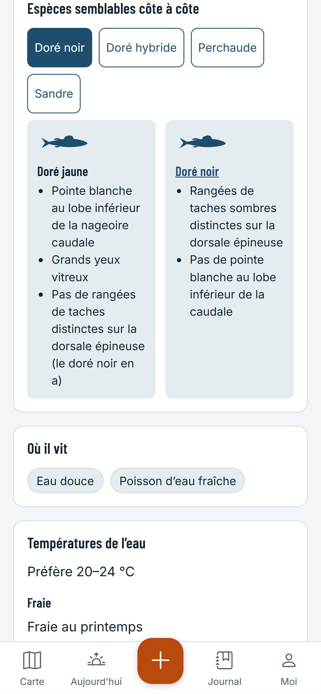 Le guide des espèces sur un téléphone : un doré jaune et un doré noir côte à côte, avec les marques qui les distinguent.